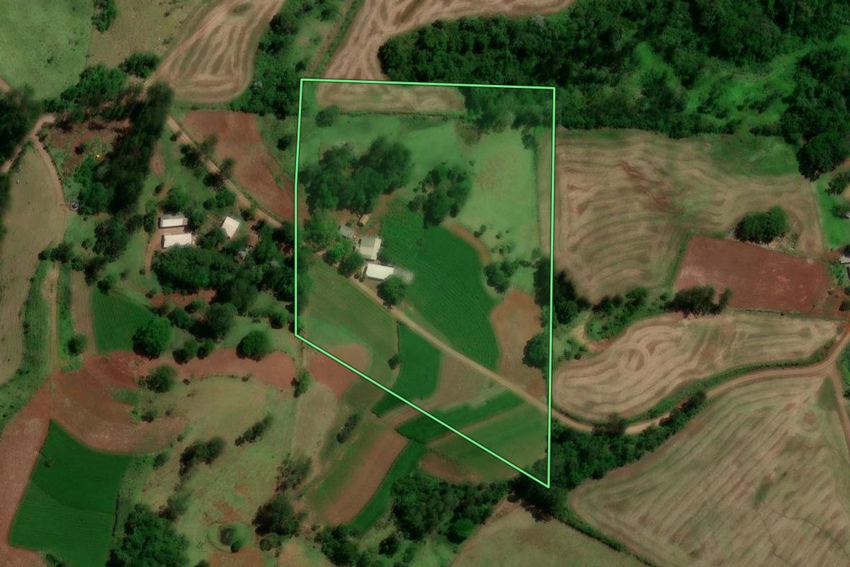Imagem de satélite do imóvel rural em Diamante do Sul (PR), com o contorno declarado no CAR desenhado por cima.