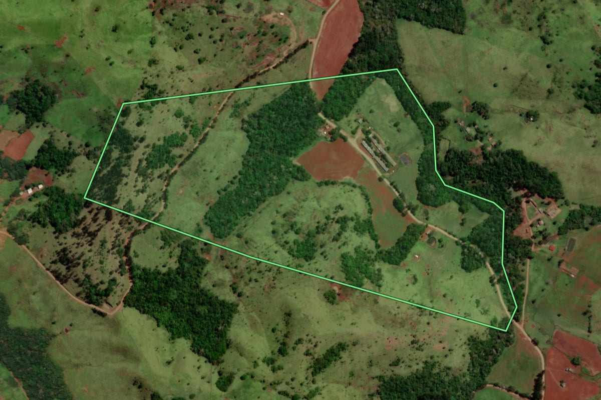 Imagem de satélite do imóvel rural em Diamante do Sul (PR), com o contorno declarado no CAR desenhado por cima.
