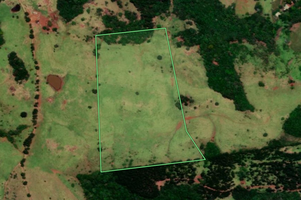 Imagem de satélite do imóvel rural em Diamante do Sul (PR), com o contorno declarado no CAR desenhado por cima.