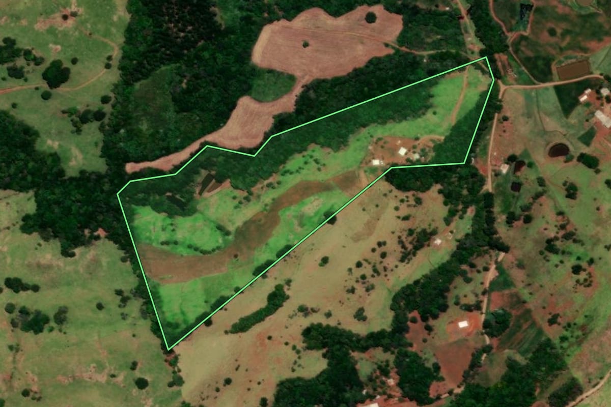 Imagem de satélite do imóvel rural em Diamante do Sul (PR), com o contorno declarado no CAR desenhado por cima.