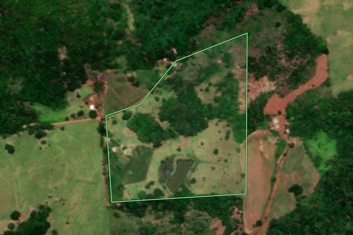 Imagem de satélite do imóvel rural em Diamante do Sul (PR), com o contorno declarado no CAR desenhado por cima.