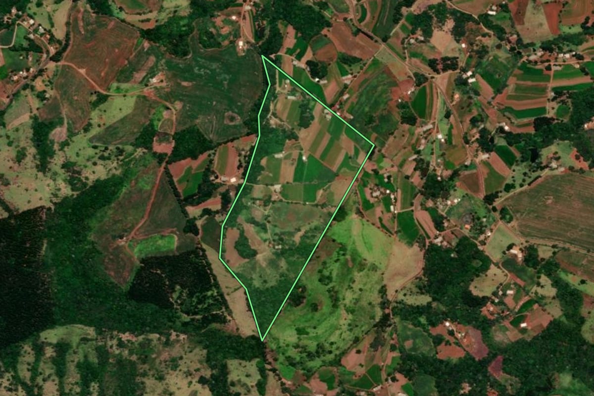 Imagem de satélite do imóvel rural em Diamante do Sul (PR), com o contorno declarado no CAR desenhado por cima.