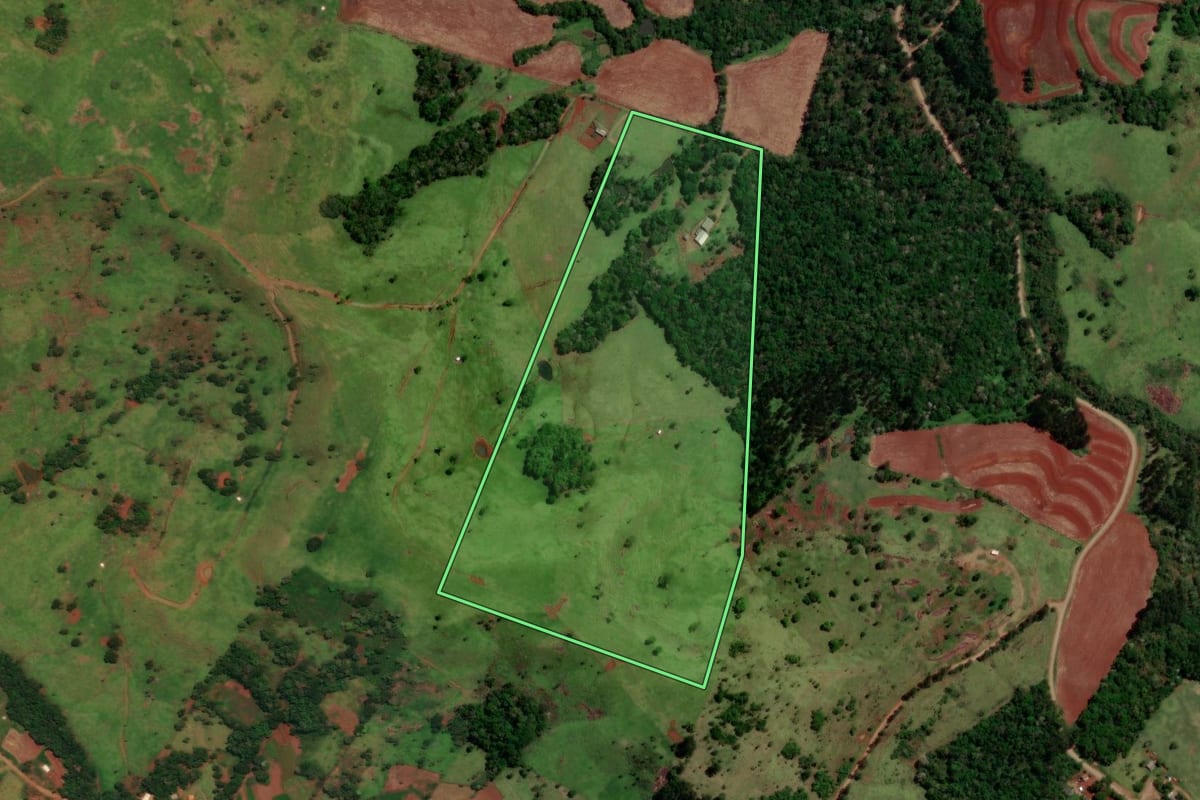 Imagem de satélite do imóvel rural em Diamante do Sul (PR), com o contorno declarado no CAR desenhado por cima.