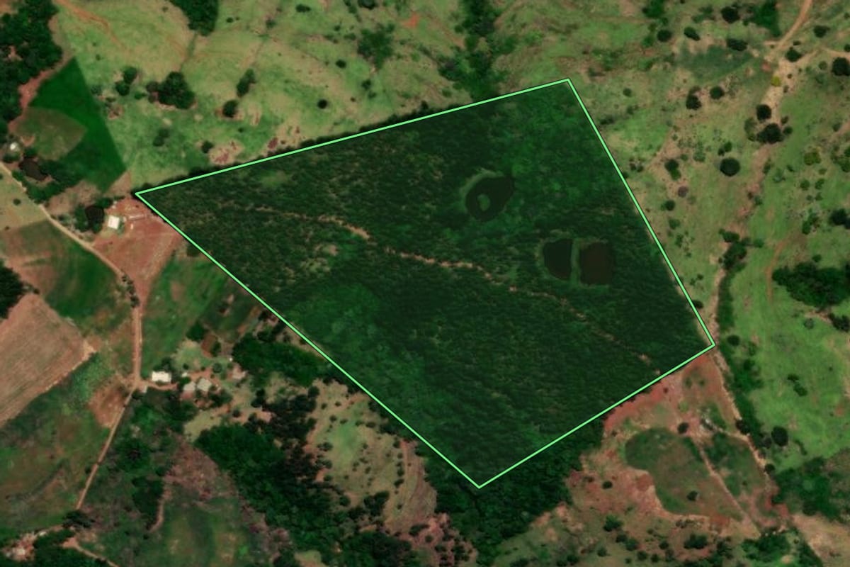 Imagem de satélite do imóvel rural em Diamante do Sul (PR), com o contorno declarado no CAR desenhado por cima.