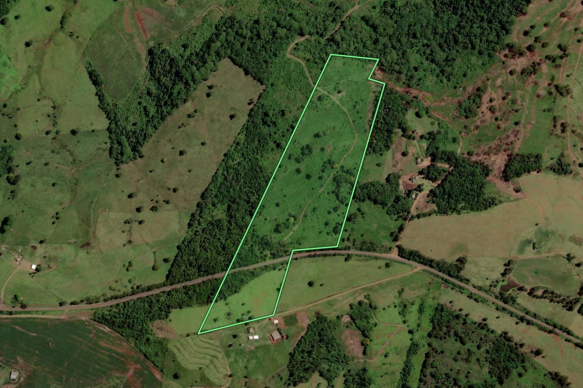 Imagem de satélite do imóvel rural em Diamante D'Oeste (PR), com o contorno declarado no CAR desenhado por cima.