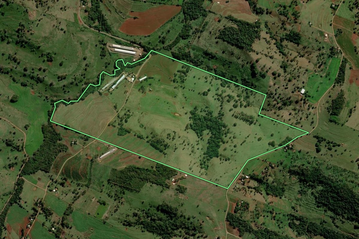 Imagem de satélite do imóvel rural em Diamante D'Oeste (PR), com o contorno declarado no CAR desenhado por cima.