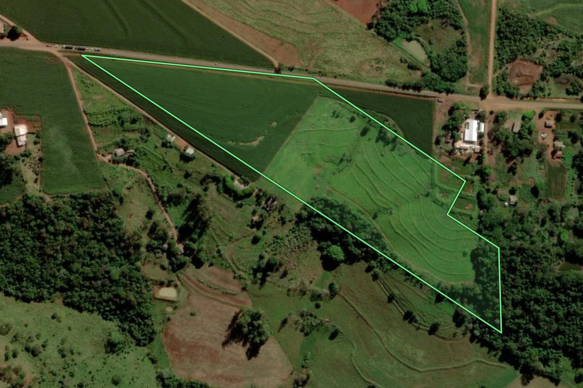 Imagem de satélite do imóvel rural em Diamante D'Oeste (PR), com o contorno declarado no CAR desenhado por cima.