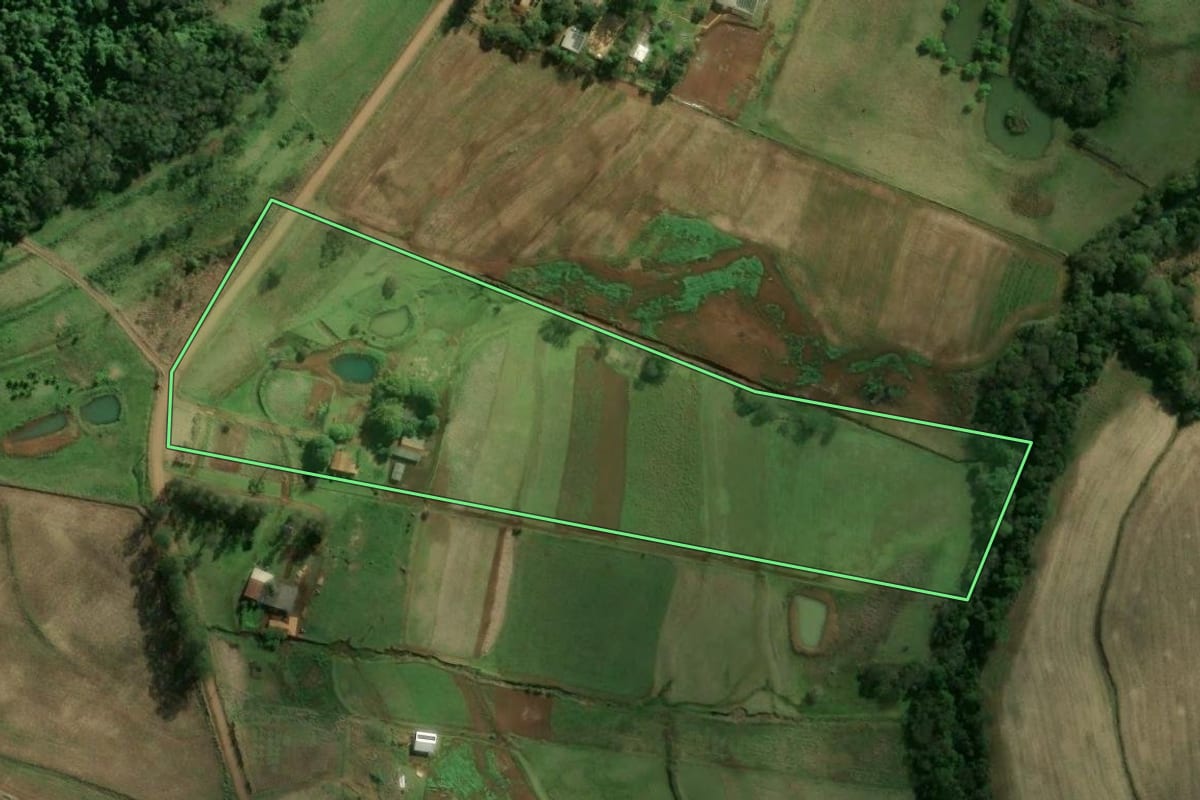 Imagem de satélite do imóvel rural em Diamante D'Oeste (PR), com o contorno declarado no CAR desenhado por cima.