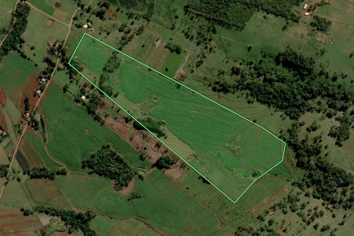 Imagem de satélite do imóvel rural em Diamante D'Oeste (PR), com o contorno declarado no CAR desenhado por cima.