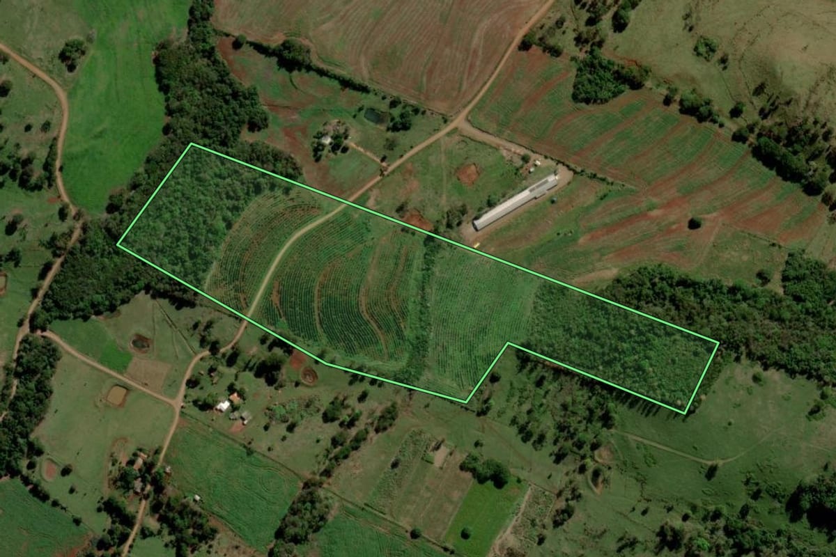 Imagem de satélite do imóvel rural em Diamante D'Oeste (PR), com o contorno declarado no CAR desenhado por cima.