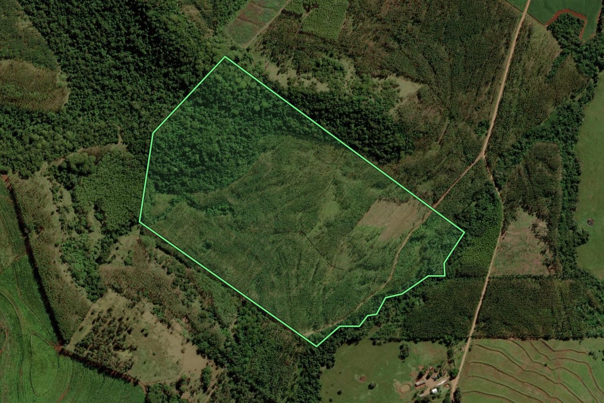 Imagem de satélite do imóvel rural em Diamante D'Oeste (PR), com o contorno declarado no CAR desenhado por cima.