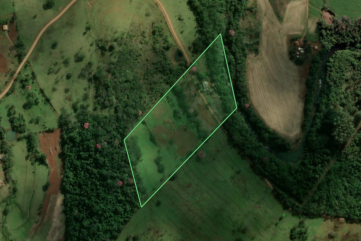Imagem de satélite do imóvel rural em Diamante D'Oeste (PR), com o contorno declarado no CAR desenhado por cima.