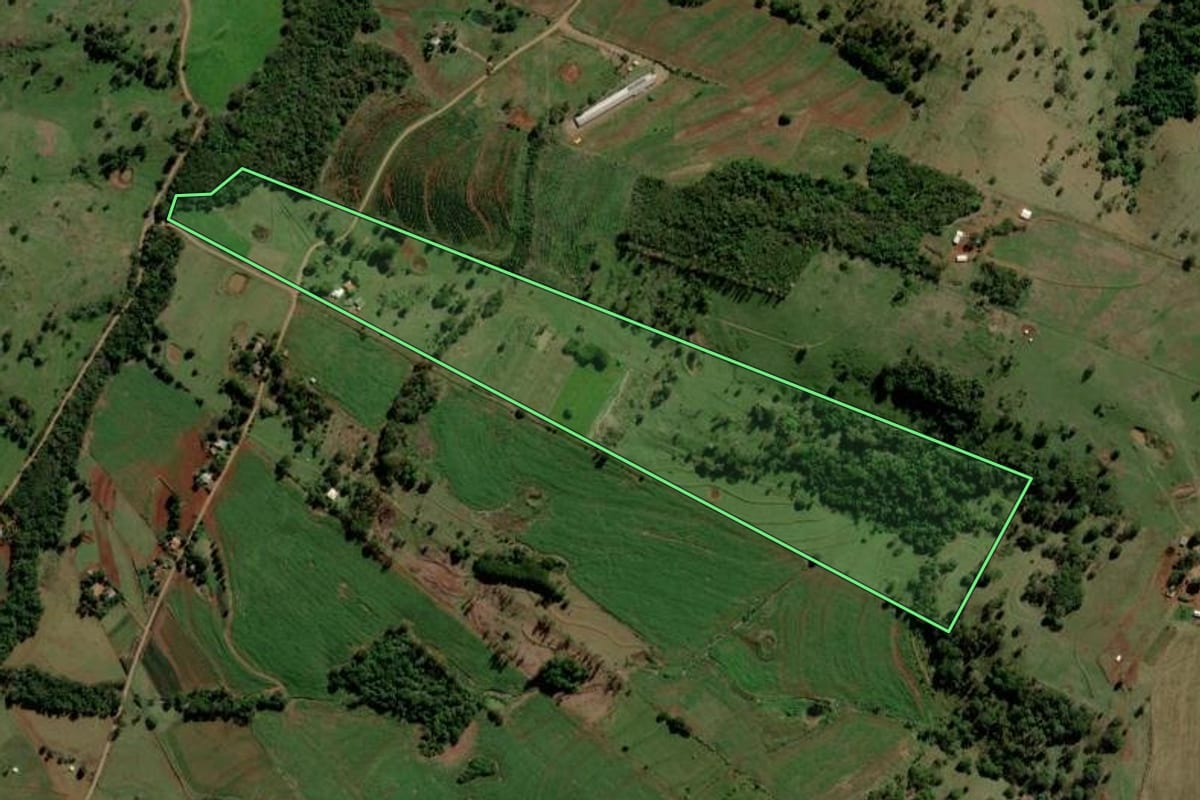 Imagem de satélite do imóvel rural em Diamante D'Oeste (PR), com o contorno declarado no CAR desenhado por cima.