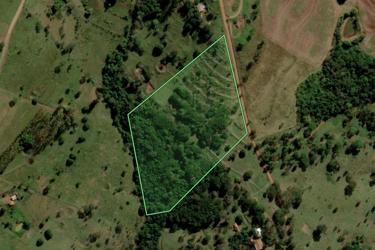 Imagem de satélite do imóvel rural em Diamante D'Oeste (PR), com o contorno declarado no CAR desenhado por cima.