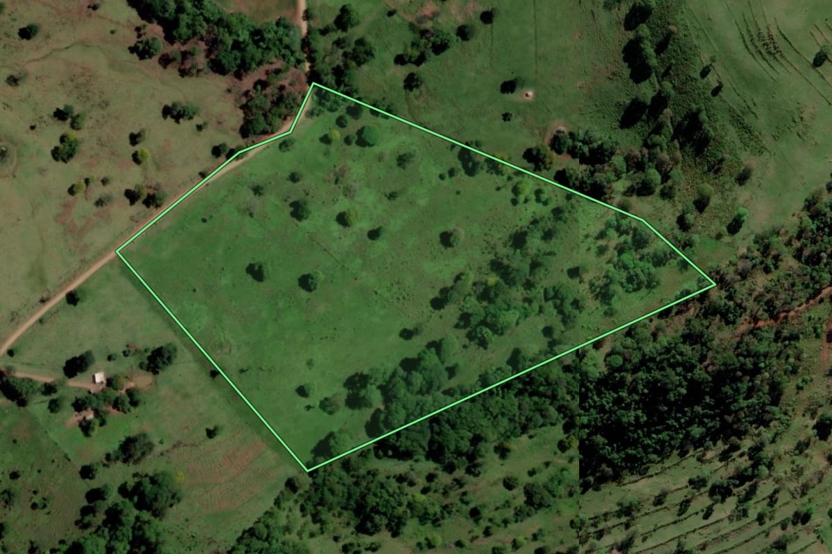 Imagem de satélite do imóvel rural em Diamante D'Oeste (PR), com o contorno declarado no CAR desenhado por cima.