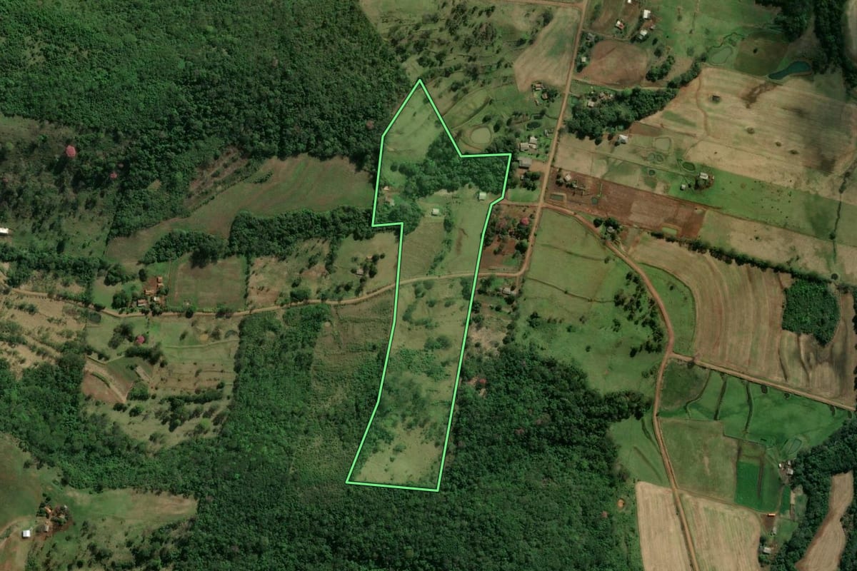 Imagem de satélite do imóvel rural em Diamante D'Oeste (PR), com o contorno declarado no CAR desenhado por cima.