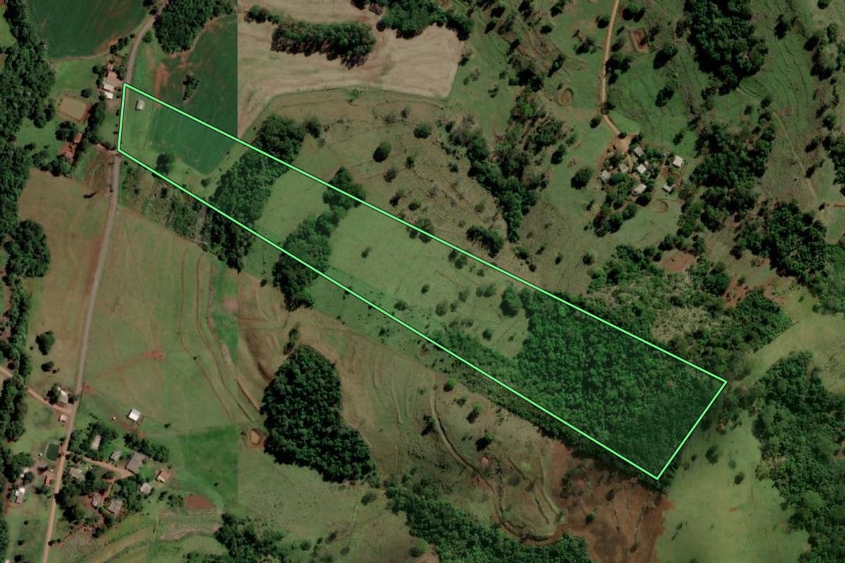 Imagem de satélite do imóvel rural em Diamante D'Oeste (PR), com o contorno declarado no CAR desenhado por cima.