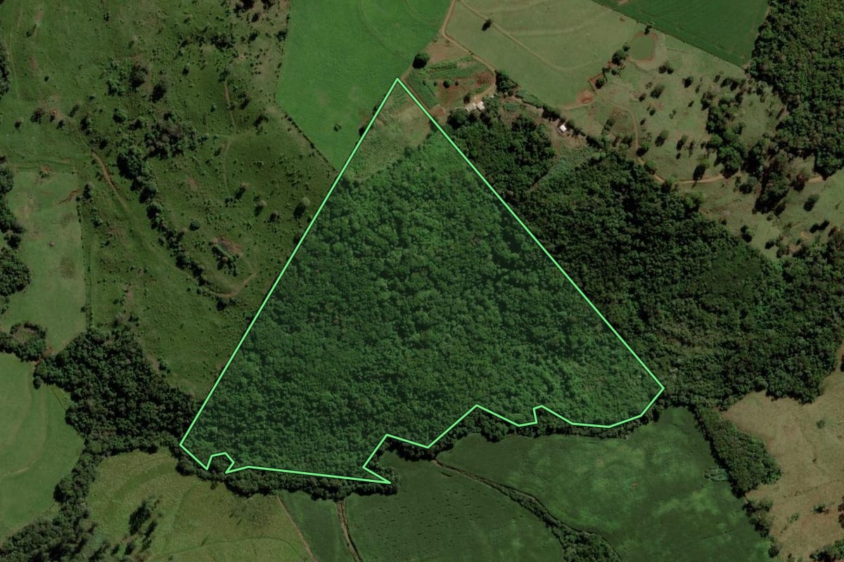 Imagem de satélite do imóvel rural em Diamante D'Oeste (PR), com o contorno declarado no CAR desenhado por cima.