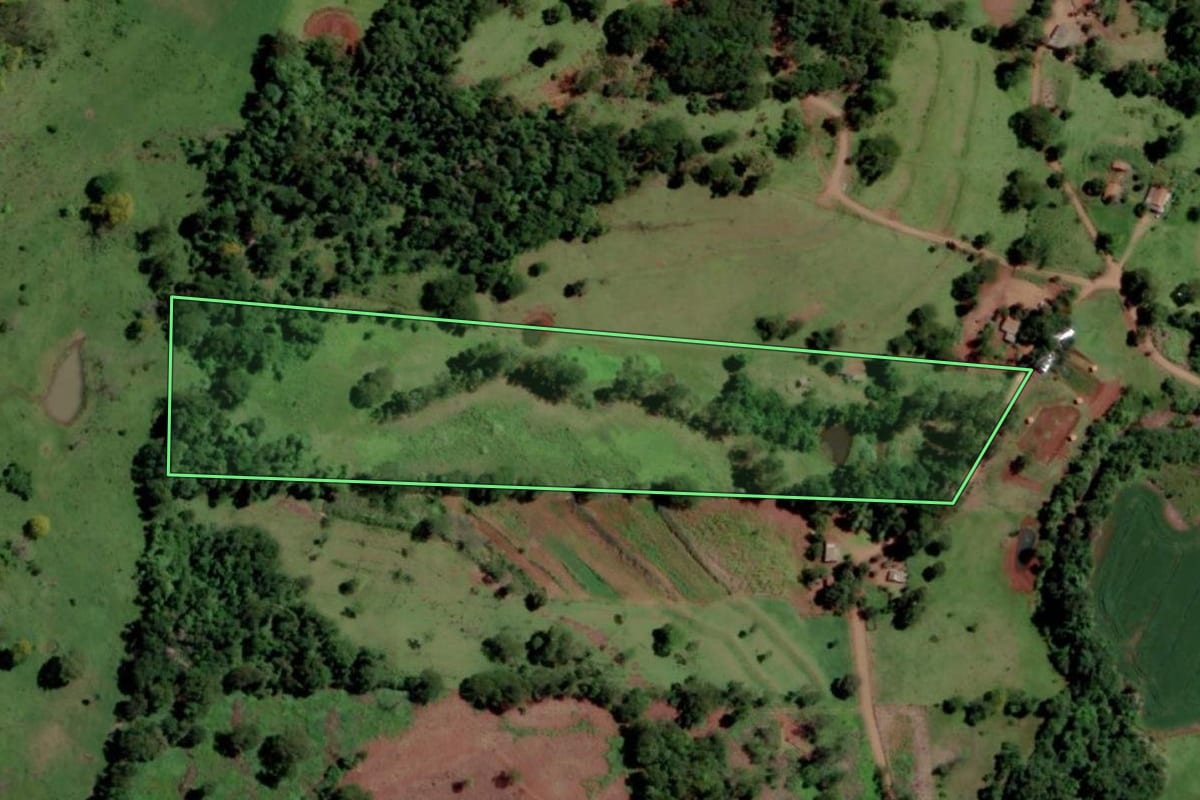 Imagem de satélite do imóvel rural em Diamante D'Oeste (PR), com o contorno declarado no CAR desenhado por cima.