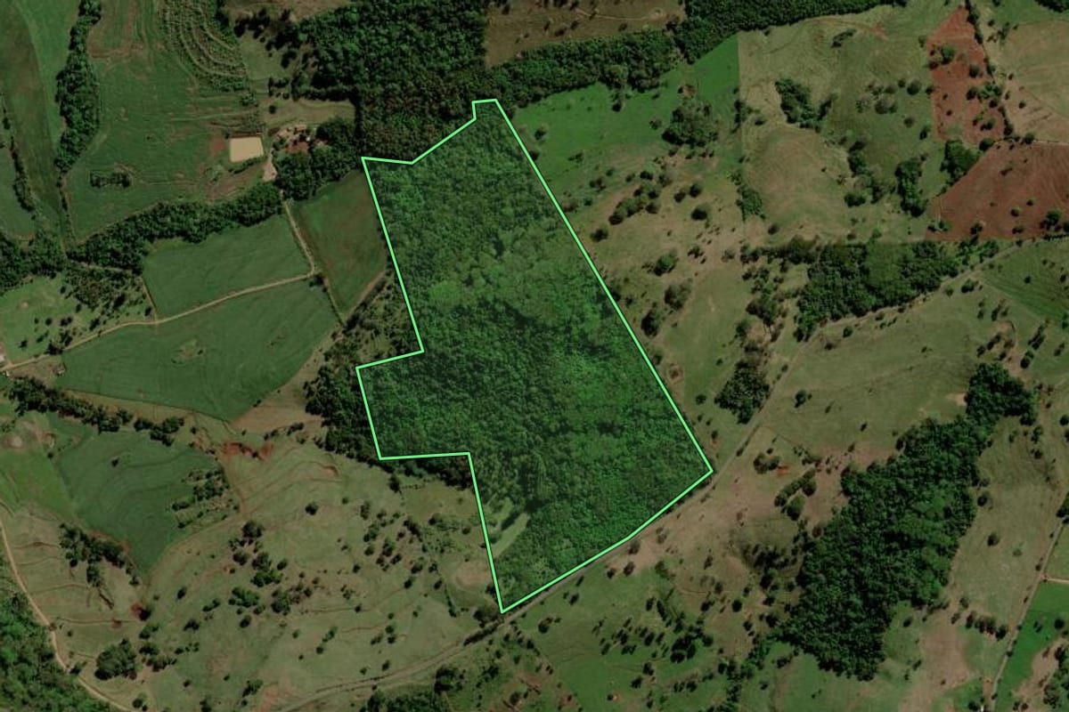 Imagem de satélite do imóvel rural em Diamante D'Oeste (PR), com o contorno declarado no CAR desenhado por cima.