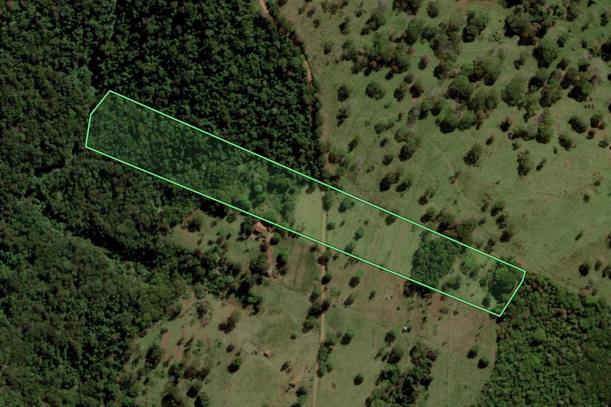 Imagem de satélite do imóvel rural em Diamante D'Oeste (PR), com o contorno declarado no CAR desenhado por cima.