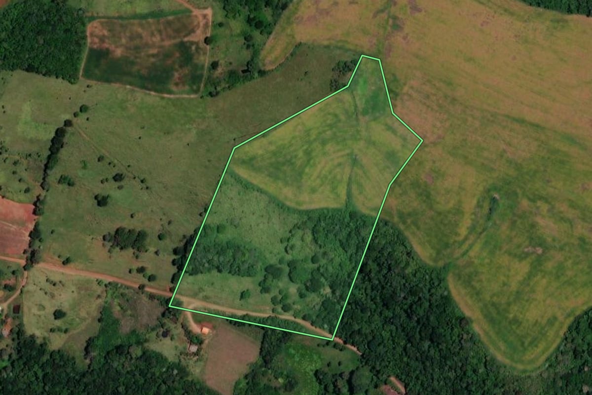 Imagem de satélite do imóvel rural em Dois Vizinhos (PR), com o contorno declarado no CAR desenhado por cima.