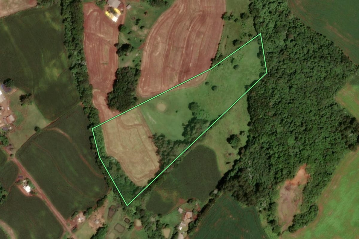 Imagem de satélite do imóvel rural em Dois Vizinhos (PR), com o contorno declarado no CAR desenhado por cima.