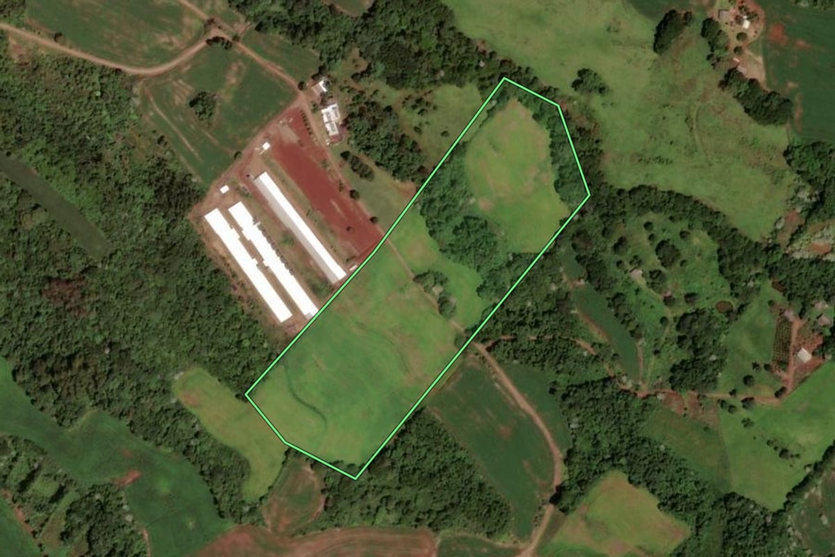 Imagem de satélite do imóvel rural em Dois Vizinhos (PR), com o contorno declarado no CAR desenhado por cima.