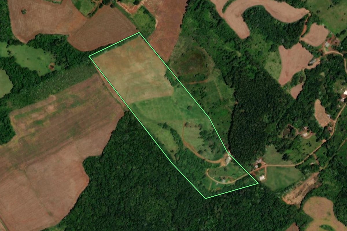 Imagem de satélite do imóvel rural em Dois Vizinhos (PR), com o contorno declarado no CAR desenhado por cima.
