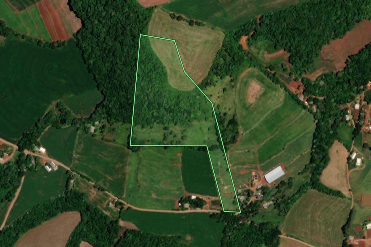 Imagem de satélite do imóvel rural em Dois Vizinhos (PR), com o contorno declarado no CAR desenhado por cima.