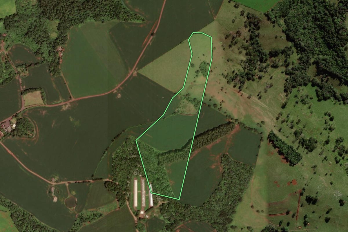 Imagem de satélite do imóvel rural em Dois Vizinhos (PR), com o contorno declarado no CAR desenhado por cima.