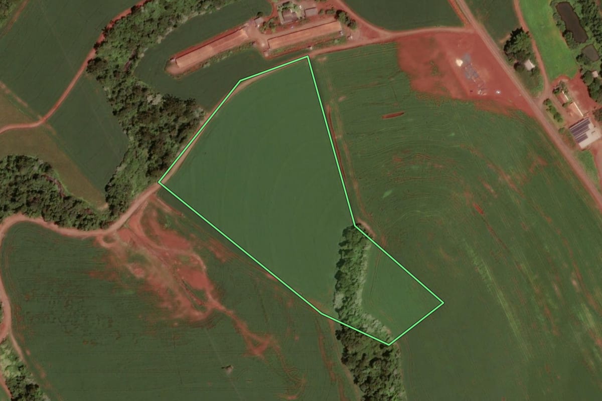 Imagem de satélite do imóvel rural em Dois Vizinhos (PR), com o contorno declarado no CAR desenhado por cima.