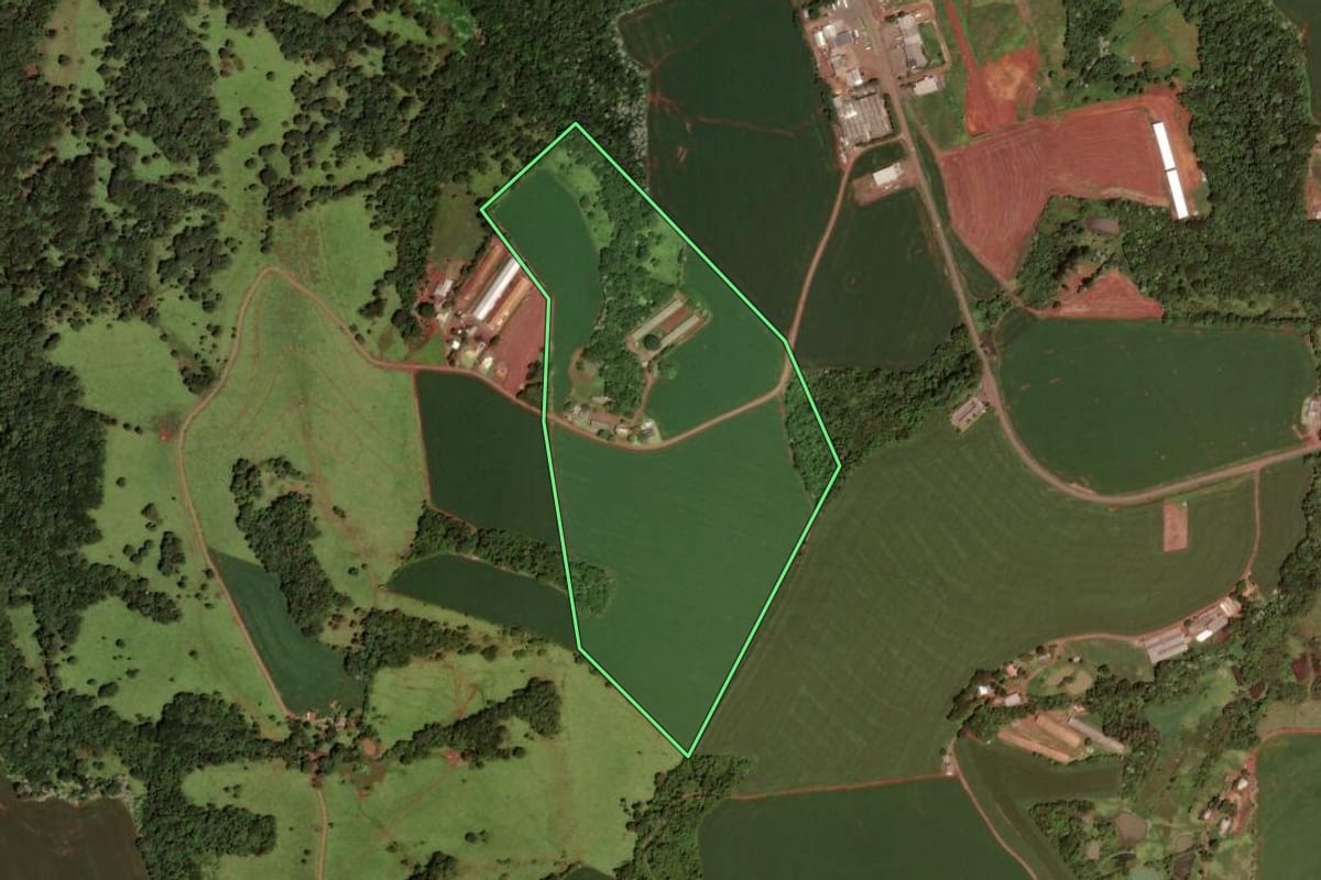 Imagem de satélite do imóvel rural em Dois Vizinhos (PR), com o contorno declarado no CAR desenhado por cima.