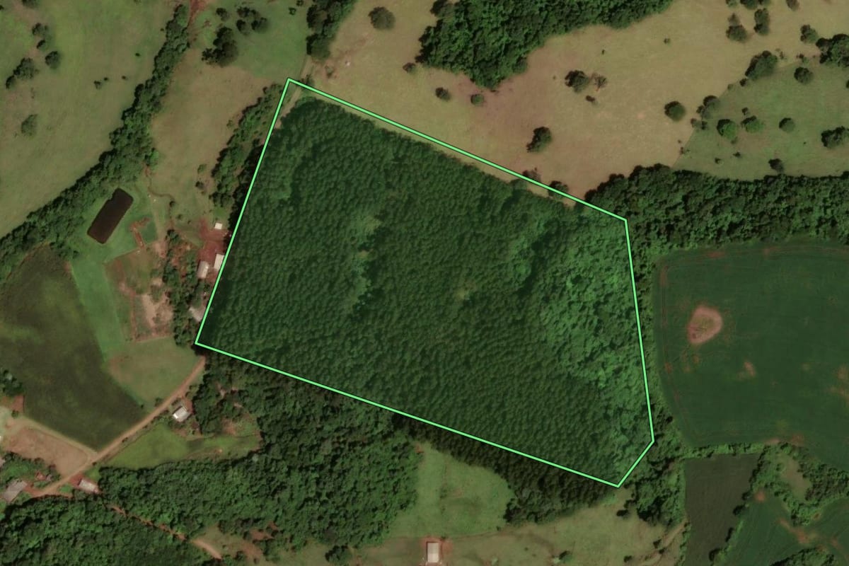 Imagem de satélite do imóvel rural em Dois Vizinhos (PR), com o contorno declarado no CAR desenhado por cima.