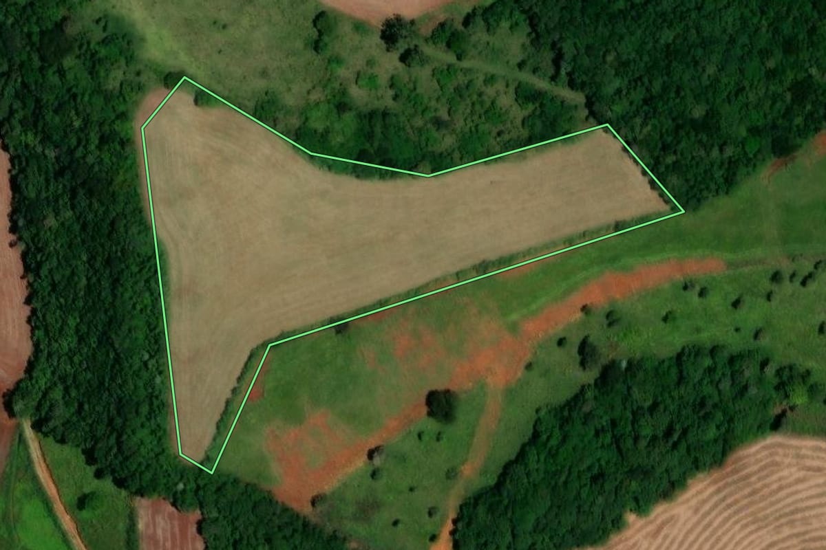 Imagem de satélite do imóvel rural em Dois Vizinhos (PR), com o contorno declarado no CAR desenhado por cima.