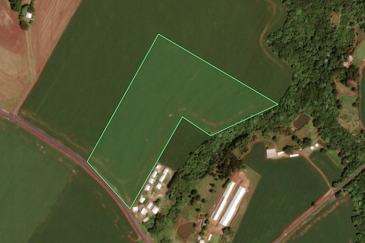 Imagem de satélite do imóvel rural em Dois Vizinhos (PR), com o contorno declarado no CAR desenhado por cima.