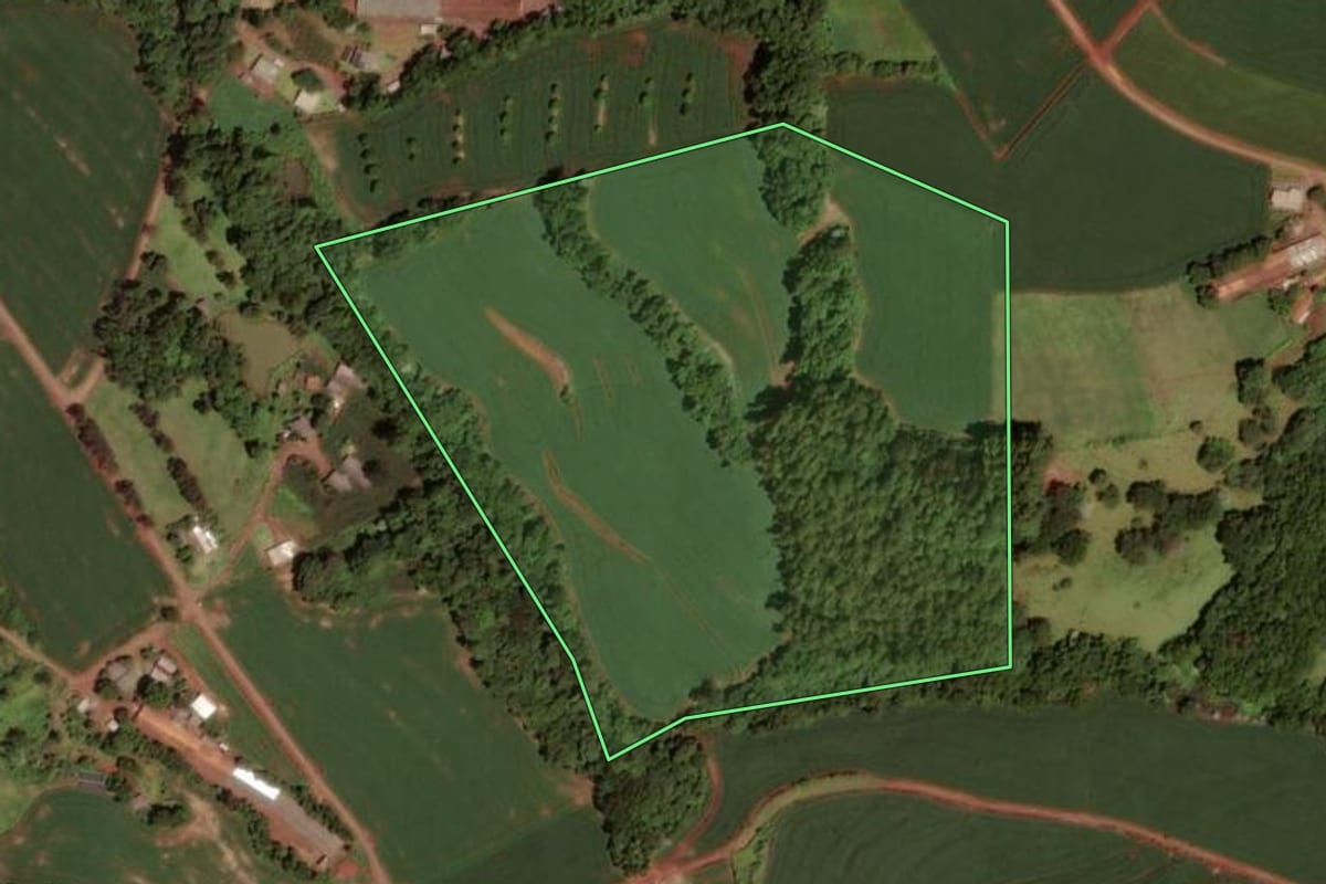 Imagem de satélite do imóvel rural em Dois Vizinhos (PR), com o contorno declarado no CAR desenhado por cima.