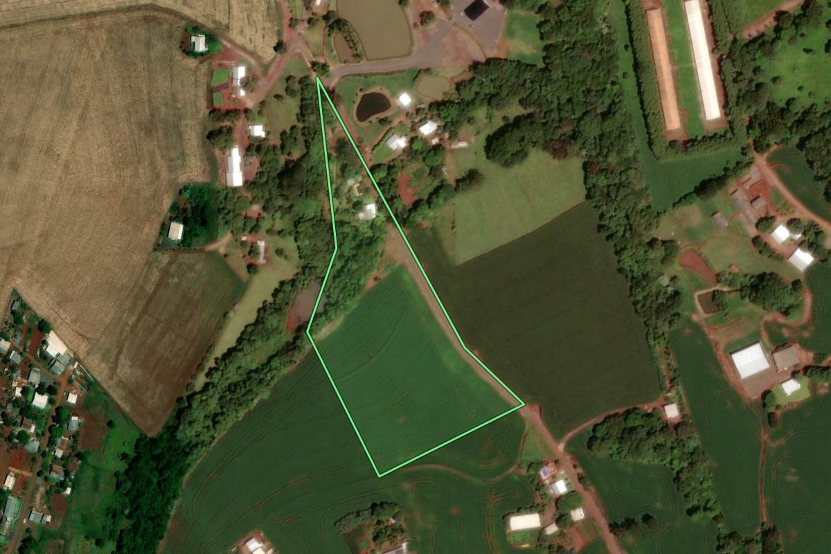 Imagem de satélite do imóvel rural em Dois Vizinhos (PR), com o contorno declarado no CAR desenhado por cima.