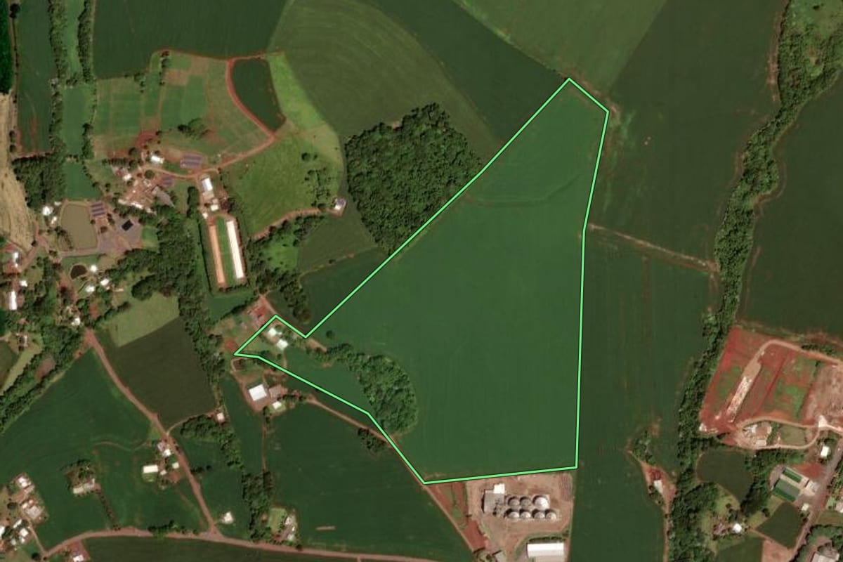 Imagem de satélite do imóvel rural em Dois Vizinhos (PR), com o contorno declarado no CAR desenhado por cima.