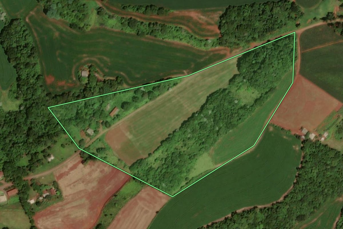Imagem de satélite do imóvel rural em Dois Vizinhos (PR), com o contorno declarado no CAR desenhado por cima.
