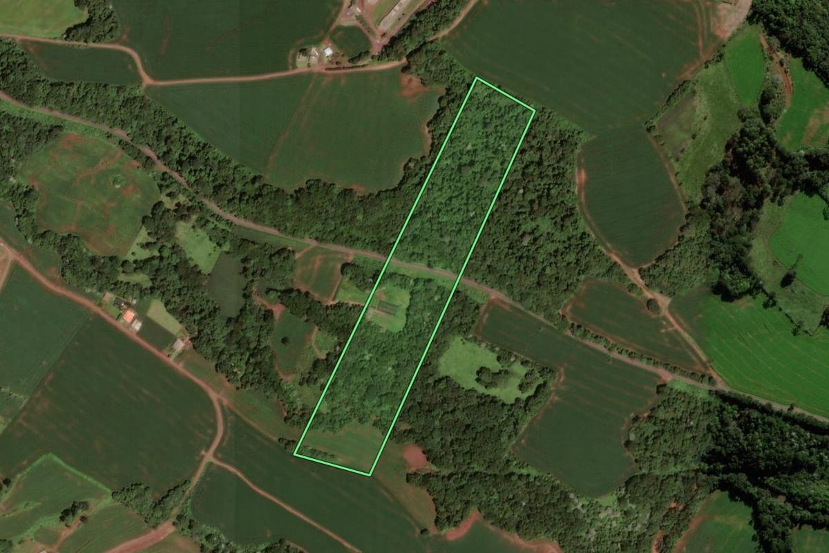 Imagem de satélite do imóvel rural em Dois Vizinhos (PR), com o contorno declarado no CAR desenhado por cima.