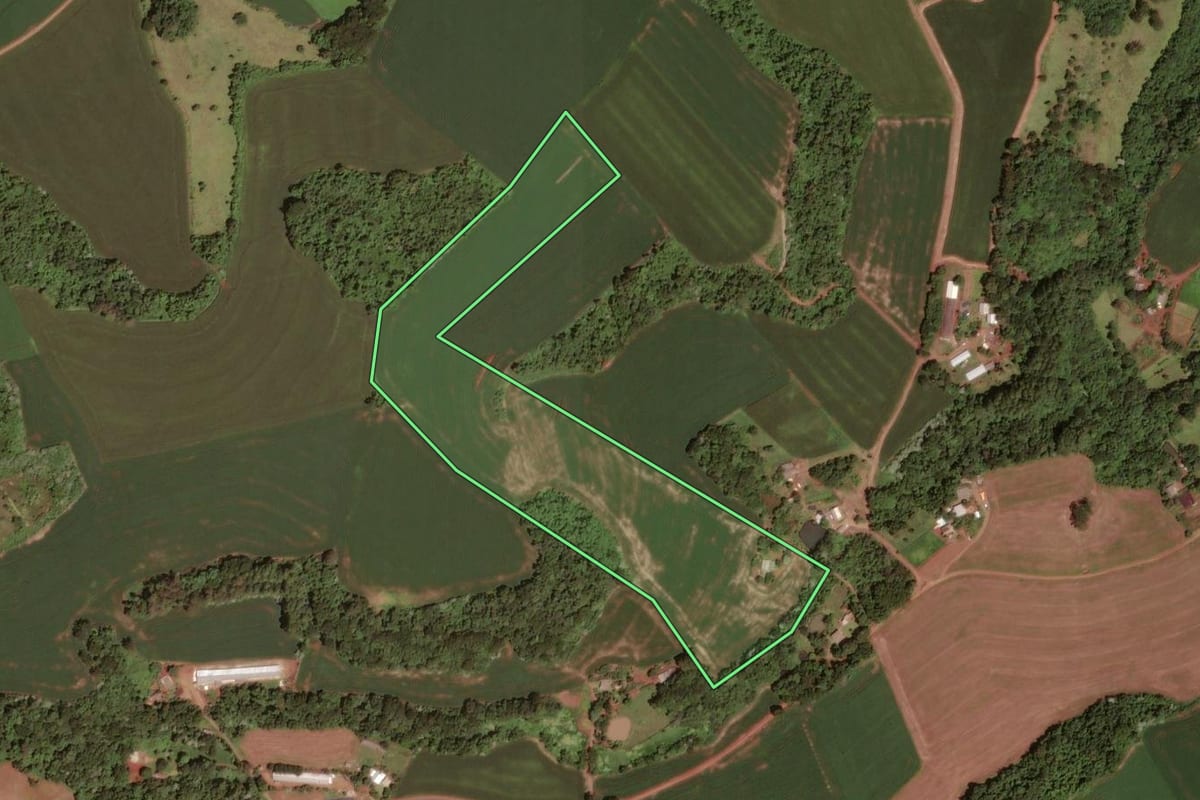 Imagem de satélite do imóvel rural em Dois Vizinhos (PR), com o contorno declarado no CAR desenhado por cima.