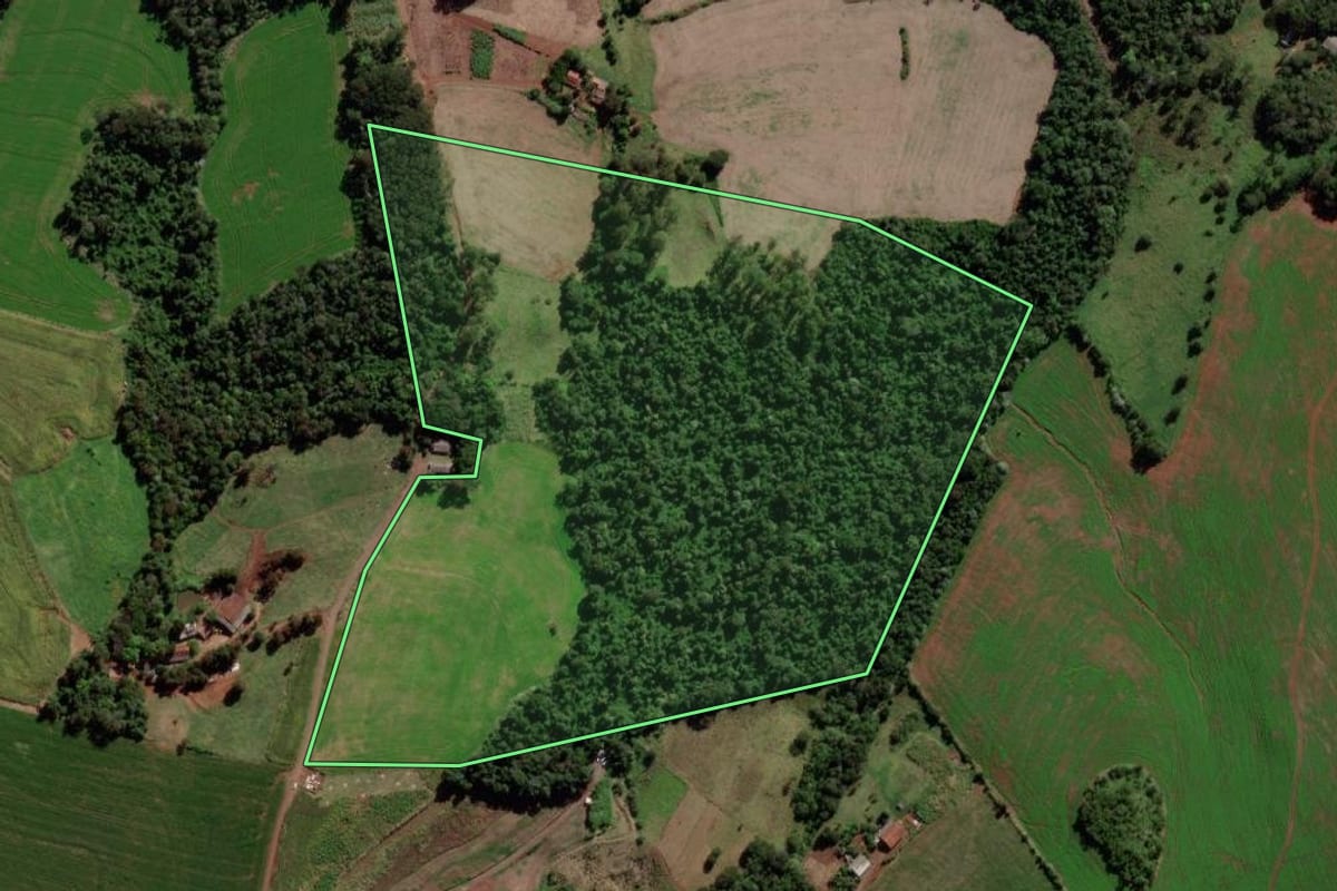 Imagem de satélite do imóvel rural em Dois Vizinhos (PR), com o contorno declarado no CAR desenhado por cima.