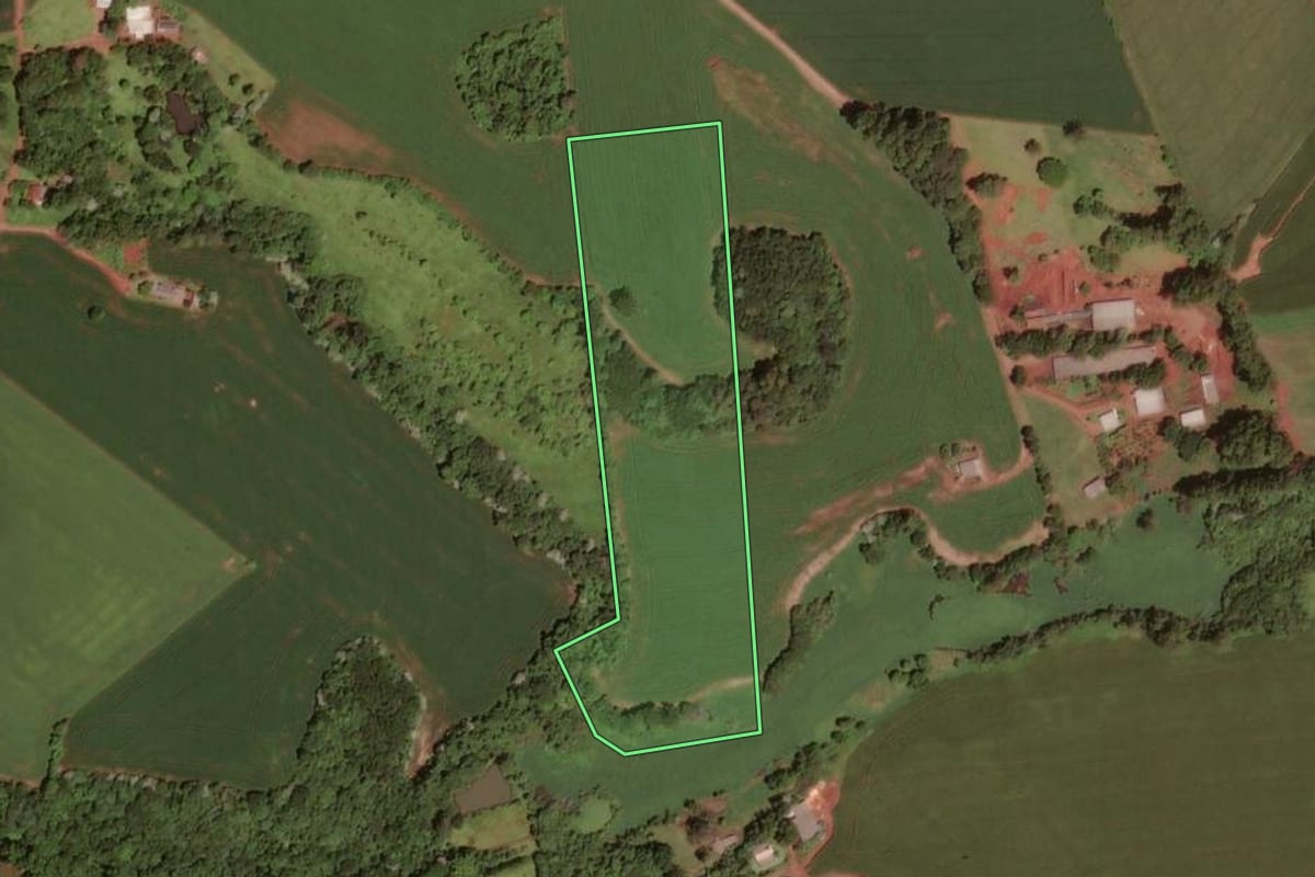 Imagem de satélite do imóvel rural em Dois Vizinhos (PR), com o contorno declarado no CAR desenhado por cima.