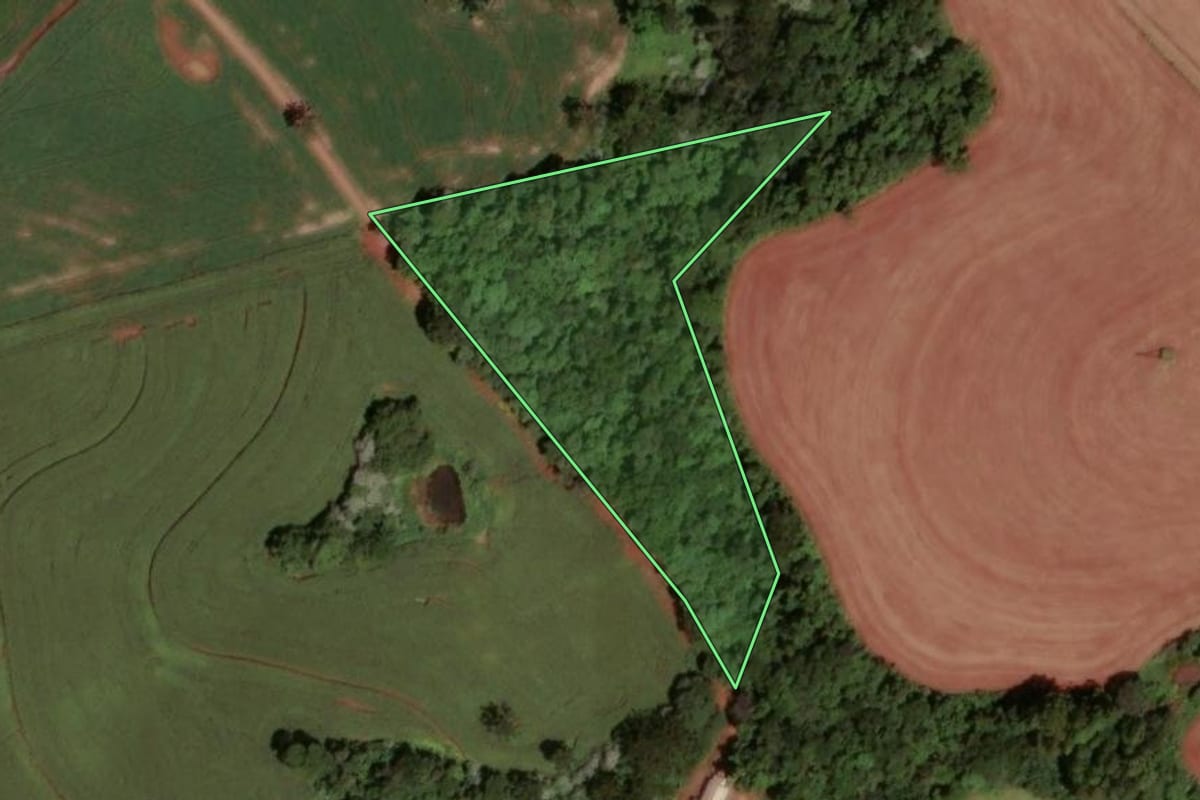 Imagem de satélite do imóvel rural em Dois Vizinhos (PR), com o contorno declarado no CAR desenhado por cima.