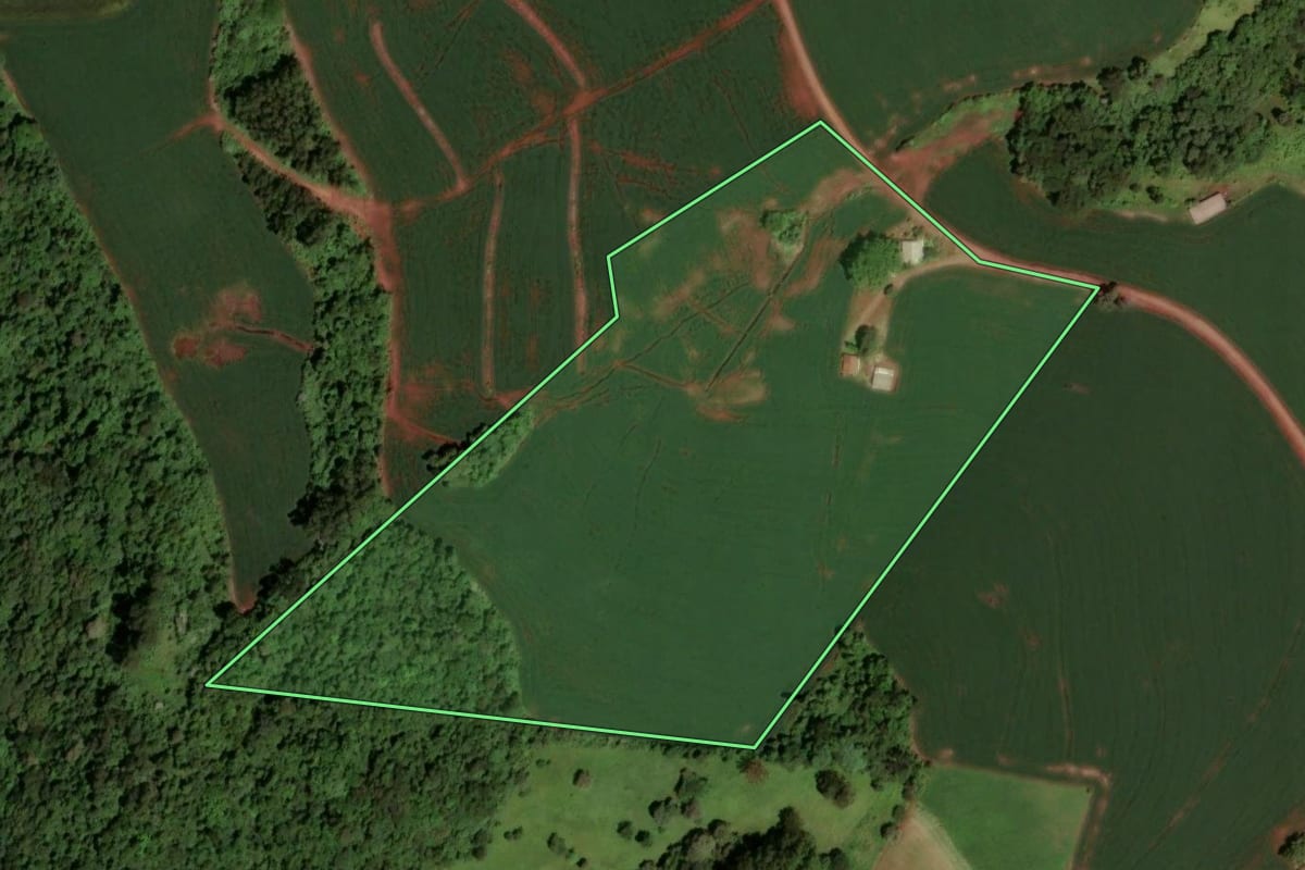 Imagem de satélite do imóvel rural em Dois Vizinhos (PR), com o contorno declarado no CAR desenhado por cima.