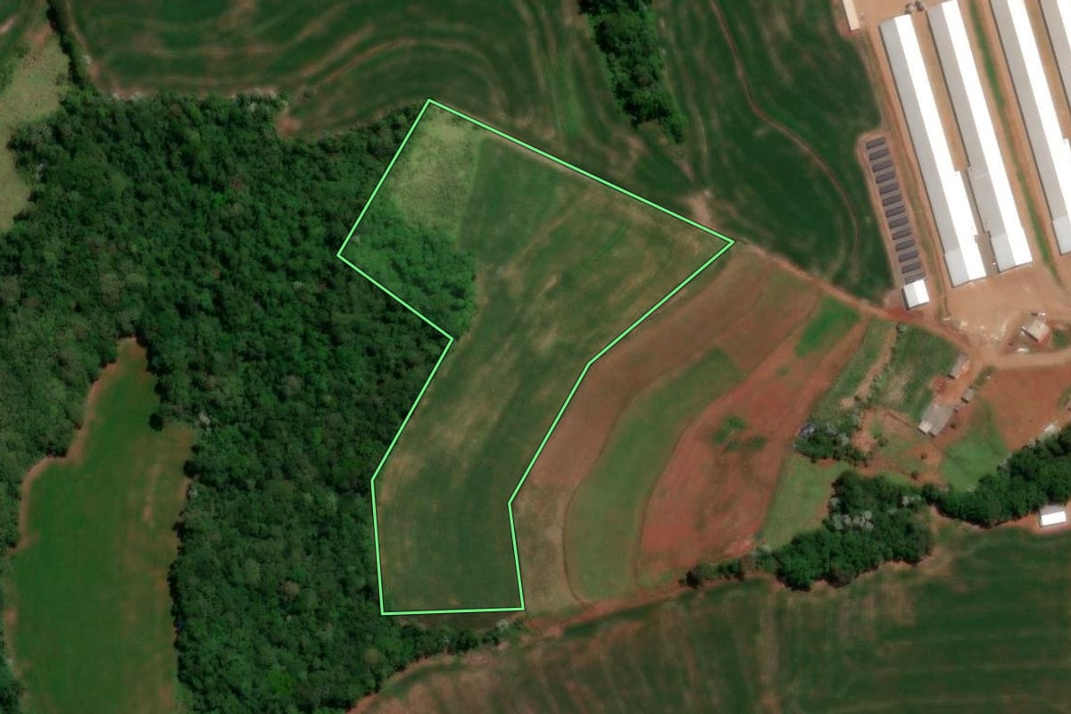 Imagem de satélite do imóvel rural em Dois Vizinhos (PR), com o contorno declarado no CAR desenhado por cima.