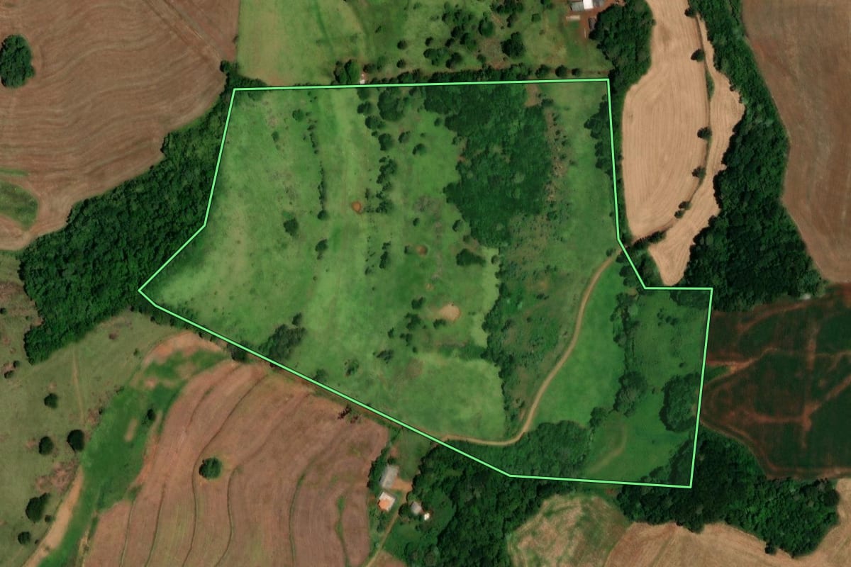 Imagem de satélite do imóvel rural em Dois Vizinhos (PR), com o contorno declarado no CAR desenhado por cima.