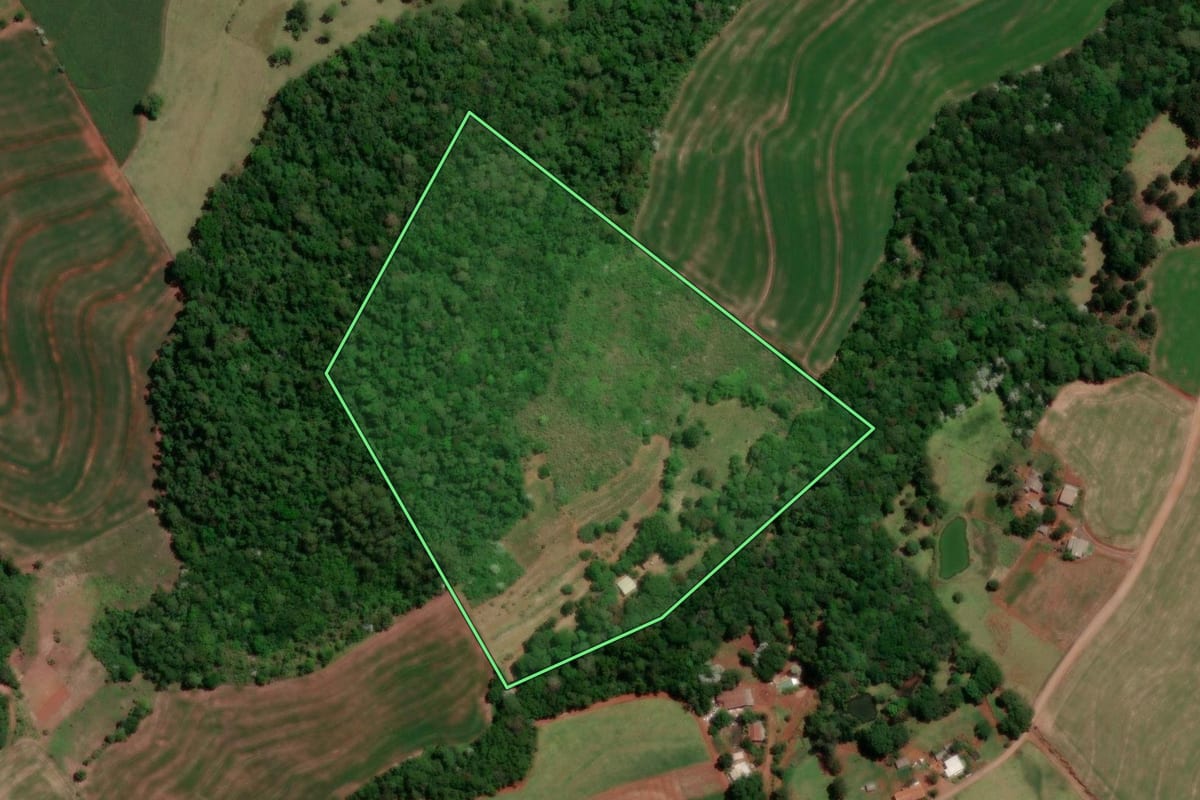 Imagem de satélite do imóvel rural em Dois Vizinhos (PR), com o contorno declarado no CAR desenhado por cima.