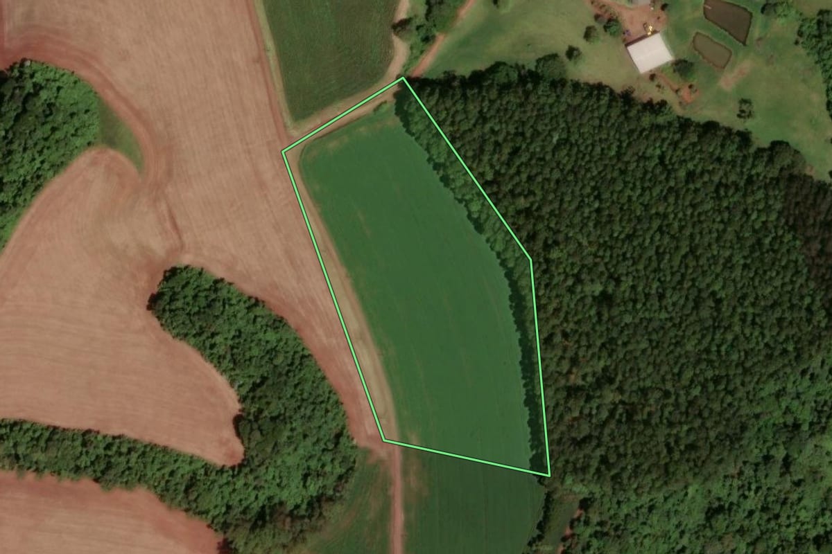 Imagem de satélite do imóvel rural em Dois Vizinhos (PR), com o contorno declarado no CAR desenhado por cima.